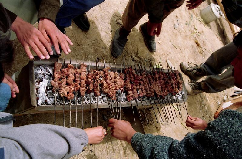 Kebab_party.jpg - Kebab picnic